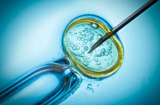 美国试管婴儿(IVF)科普