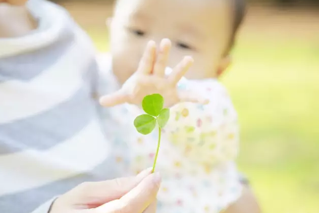 美国辅助生殖的历史与现状