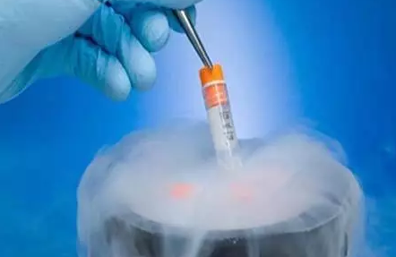 美国试管婴儿:怎么保证冻胚移植的成功