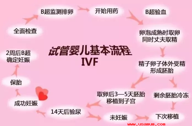 试管婴儿的过程是怎么样的?