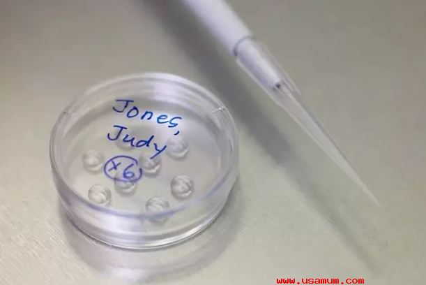 试管婴儿多次不着床,你了解为什么吗?